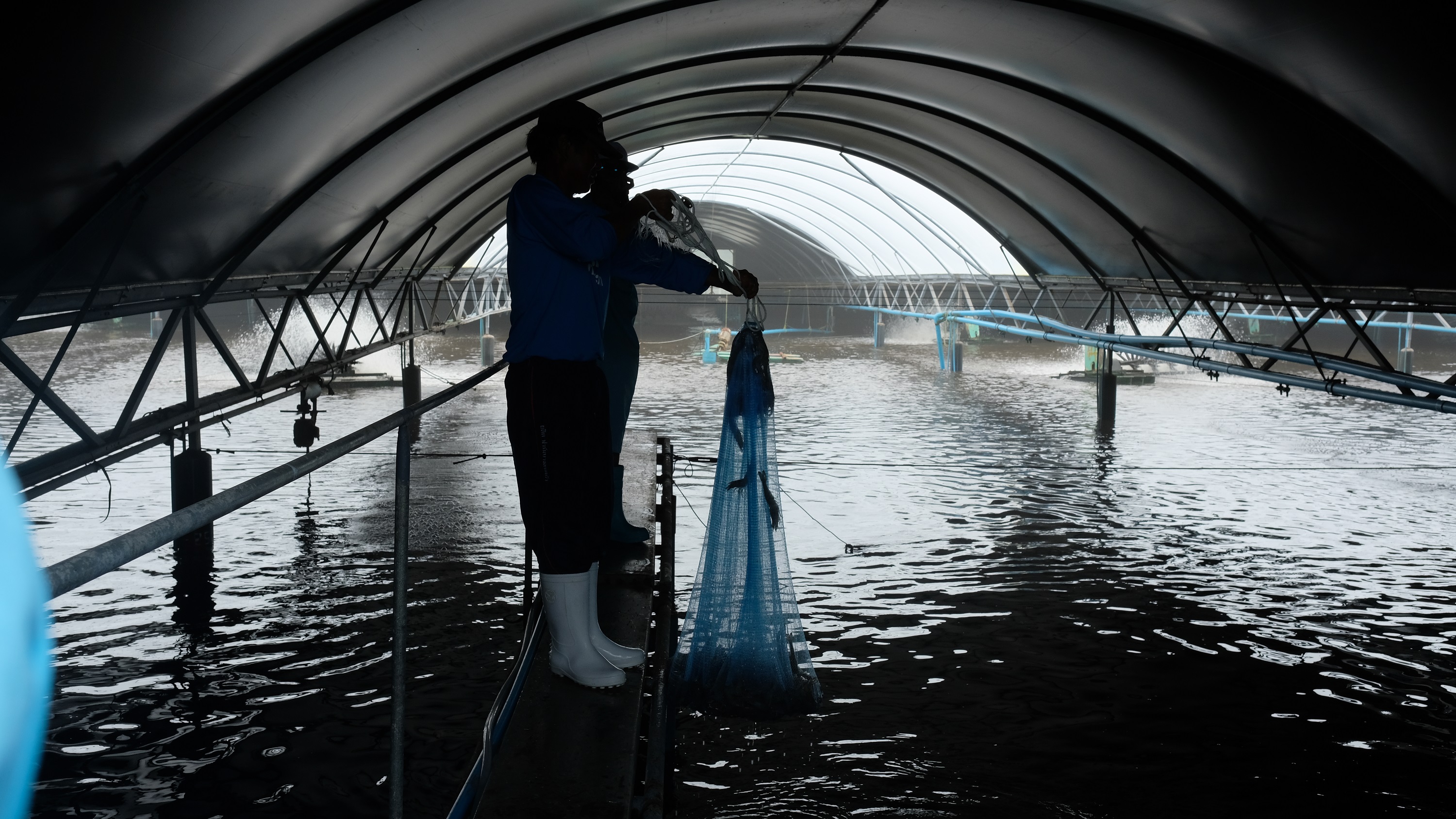 CP Foods tops the seafood industry in supply chain stewardship and human rights CP Foods tops the seafood industry in supply chain stewardship and human rights
